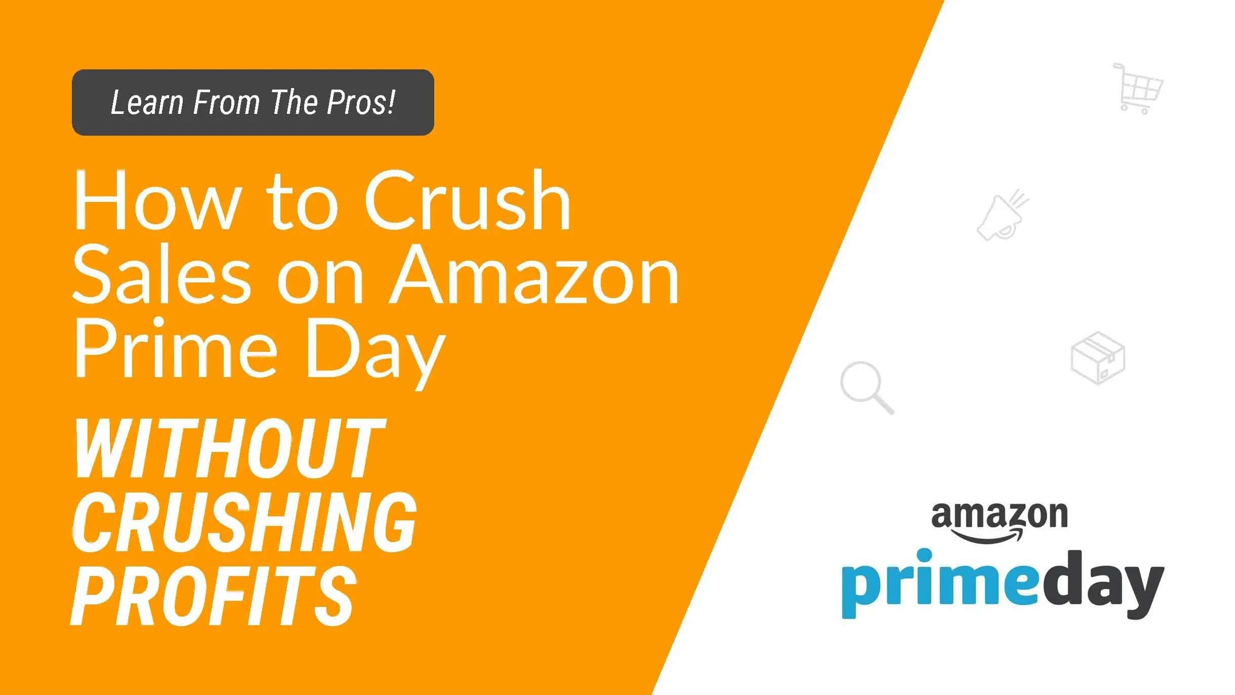 Amazon Prime Day Webinar Learn from the Pros Series