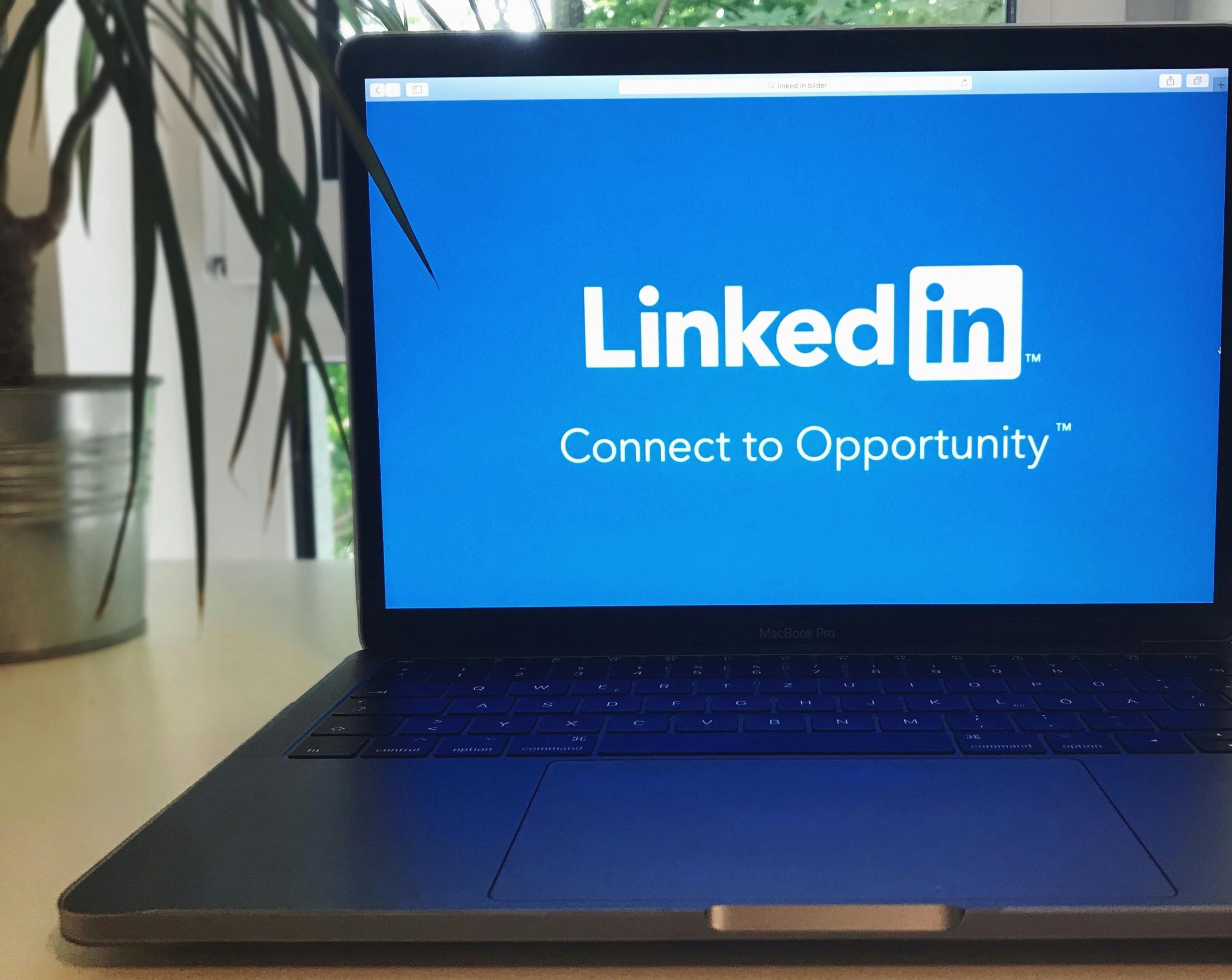 LinkedIn B2B Marketing _ Smartfinds LinkedIn B2B Marketing _ Smartfinds