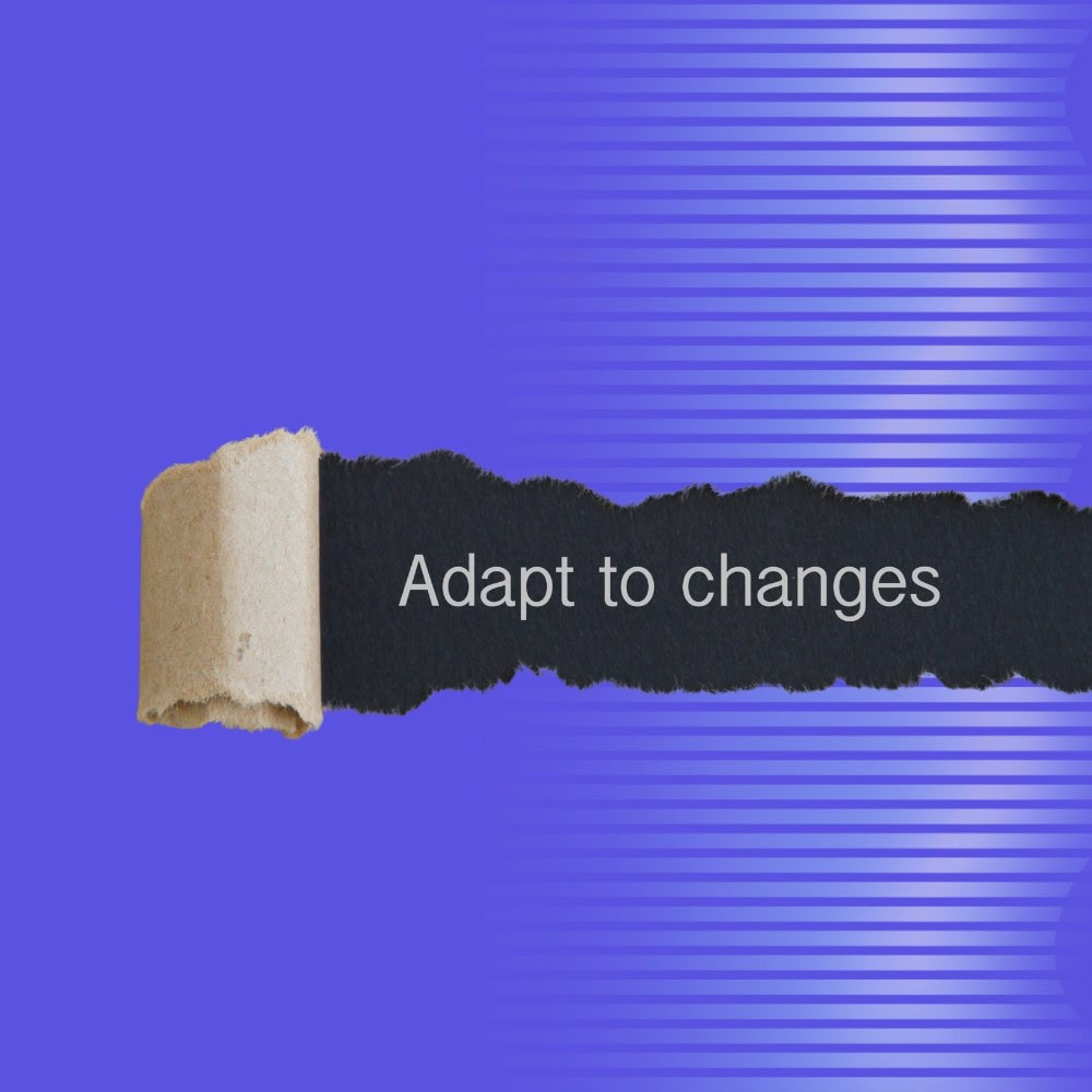 Business Adaptability: How Companies Stay Relevant Through Change